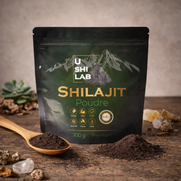 Shilajit poudre